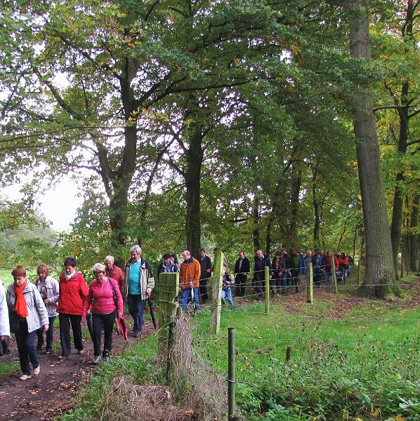 Herfstwandeling op 20-10-2013 (27).JPG